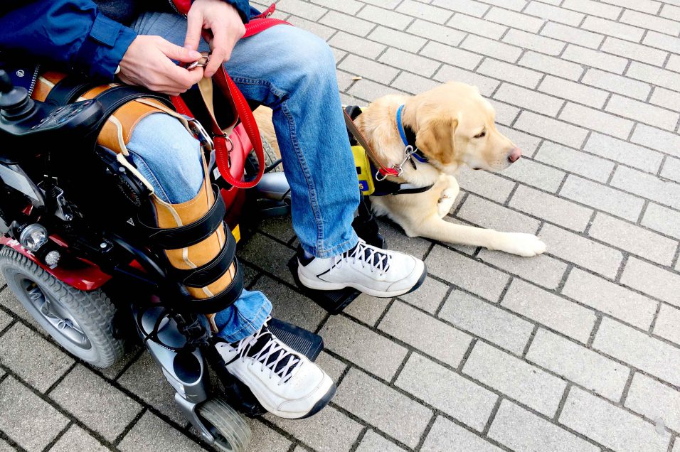 Nielson chien d'aide à la STIB