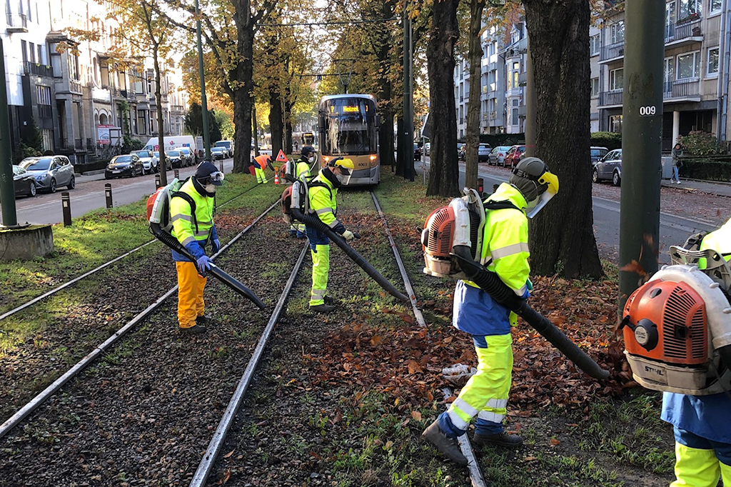 Les feuilles mortes : un danger pour nos trams !