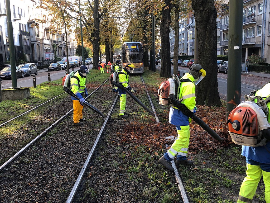 Les feuilles mortes : un danger pour nos trams !